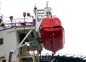 Platform Davit