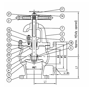 Marine Cast Iron Angle Valve JIS F7310 16K