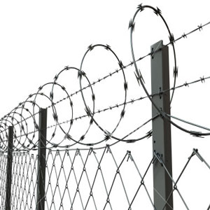 Single Loop Razor Barbed Wire