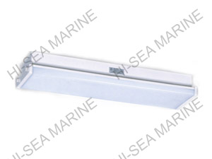 Fluorescent Ceiling Light