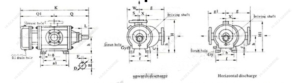 2W.W Marine Twin Screw Pump