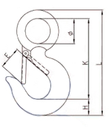 320 Eye Slip Hook with Latch