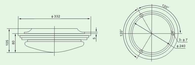 Double-bulb Ceiling Light