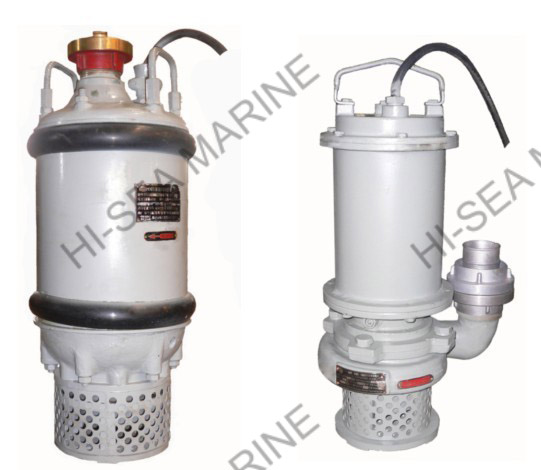CQX Marine Submerged Motor Pump