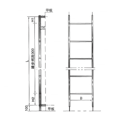 Vessel Stainless Steel Vertical Ladder