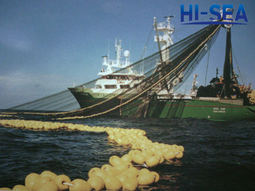 EVA Fishing Net Float