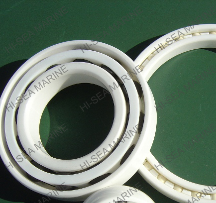 Full ceramic Bearings