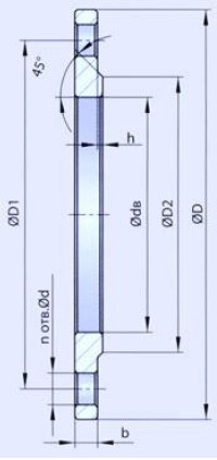 CS flange GOST 12820-80 PN10 PN16