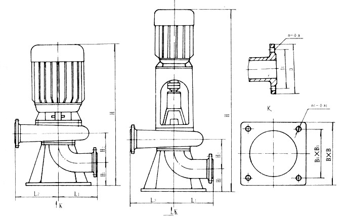 CLW Marine Vertical Sewage Pump