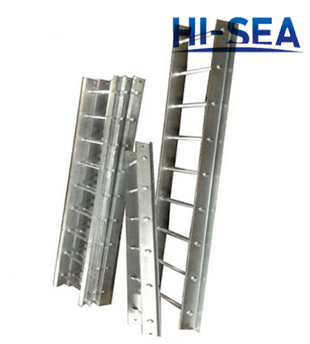 Vessel Stainless Steel Vertical Ladder