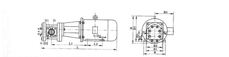 LB Marine Gear Pump for Refrigerator