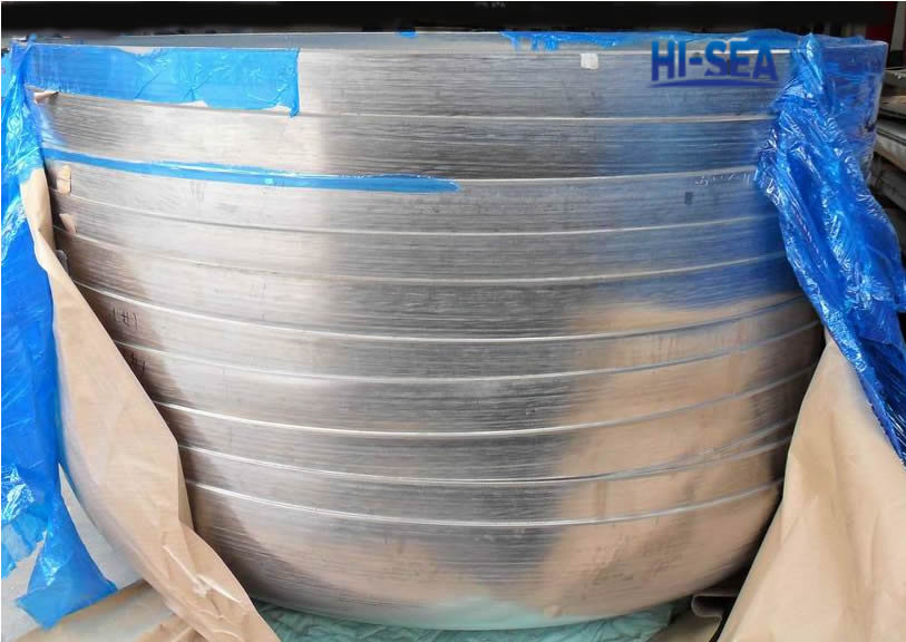 SS 304L Elliptical Head