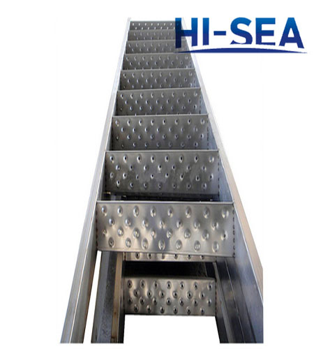 Vessel Stainless Steel Inclined Ladder 