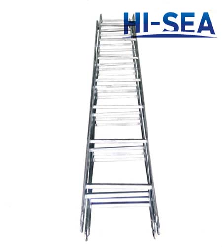 Vessel Stainless Steel Vertical Ladder