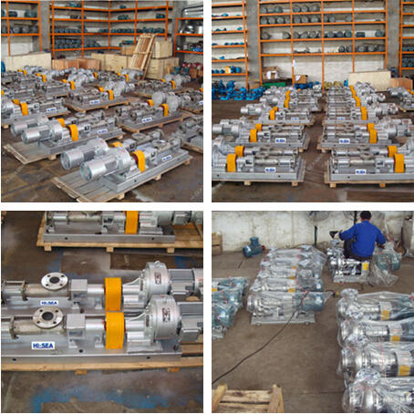 G Marine Mono Screw Pump