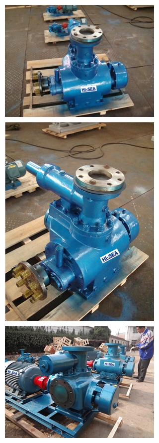 2W.W Marine Twin Screw Pump