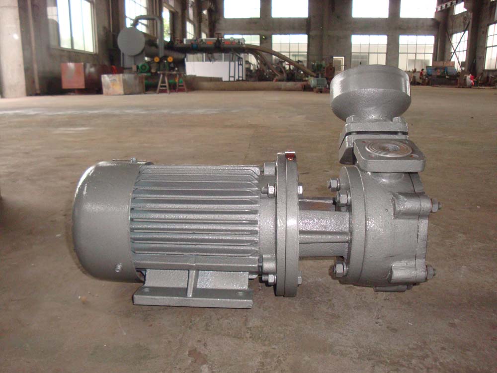 1W(Z) Marine Vortex Pump